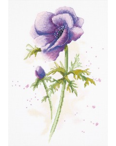 »óǰ ¼¶³×ÀÏ »óǰ ¼¶³×ÀÏ