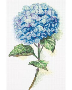 »óǰ ¼¶³×ÀÏ »óǰ ¼¶³×ÀÏ