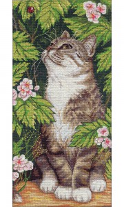 »óǰ ¼¶³×ÀÏ »óǰ ¼¶³×ÀÏ