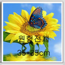 ǰ 