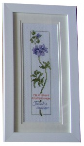 ��ǰ ������