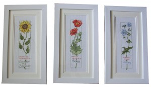 ��ǰ ������