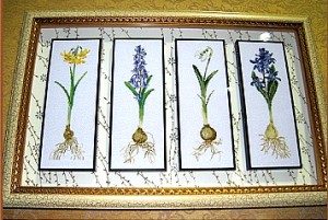 ��ǰ ������