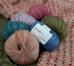 ��ǰ�̹���